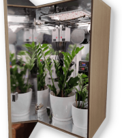 Automated grow box for cannabis (where legal) and other herbs & plants.